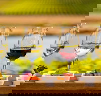 Launceston Private Charter Service - Holiday Jervis Bay