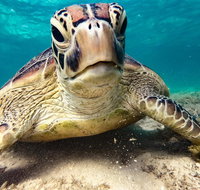 Sail Snorkel SUP  Kayak Charter Whitsundays - Holiday Jervis Bay