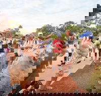 Uluru Kata Tjuta and Kings Canyon Camping Safari from Ayers Rock - Holiday Jervis Bay