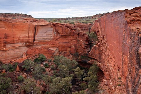 Uluru, Kata Tjuta And Kings Canyon Camping Safari From Ayers Rock - Holiday Jervis Bay 1