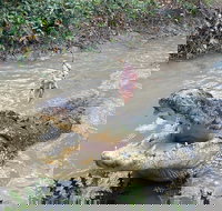 Top End Waterfalls and Wetlands - Holiday Jervis Bay