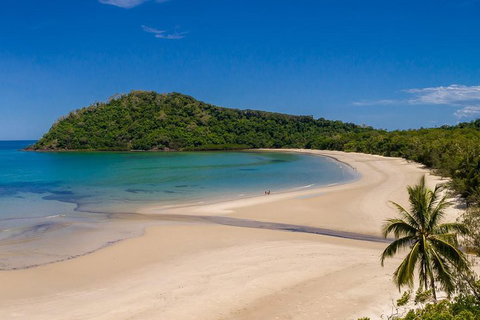 Daintree And Cape Tribulation Tour From Cairns - Holiday Jervis Bay 1