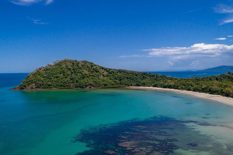 Daintree And Cape Tribulation Tour From Cairns - Holiday Jervis Bay 4