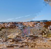 The Amazing Kings Canyon 4-Hours Walking Tour and Hike - Holiday Jervis Bay