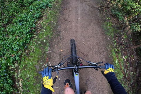 Explore Downhill Mountain In 3-Hour Bike Tour From Hobart - Holiday Jervis Bay 2