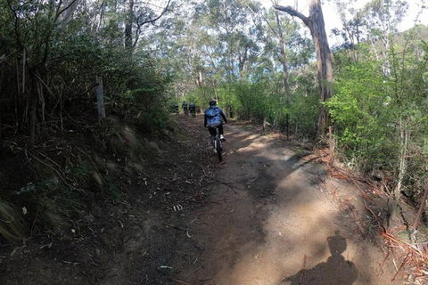 Explore Downhill Mountain In 3-Hour Bike Tour From Hobart - Holiday Jervis Bay 3