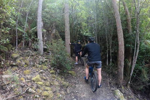 Explore Downhill Mountain In 3-Hour Bike Tour From Hobart - Holiday Jervis Bay 4