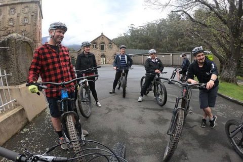 Explore Downhill Mountain In 3-Hour Bike Tour From Hobart - Holiday Jervis Bay 5