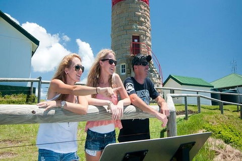 Full-Day Moreton Island 4x4 Sightseeing Tour - Holiday Jervis Bay 3