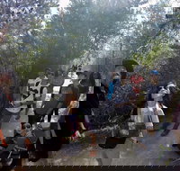 Active Day Tour One-Way from Launceston to Hobart via Wineglass Bay - Holiday Jervis Bay