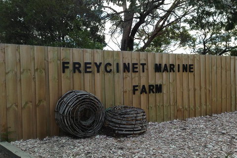 Active Day Tour One-Way From Launceston To Hobart Via Wineglass Bay - Holiday Jervis Bay 3