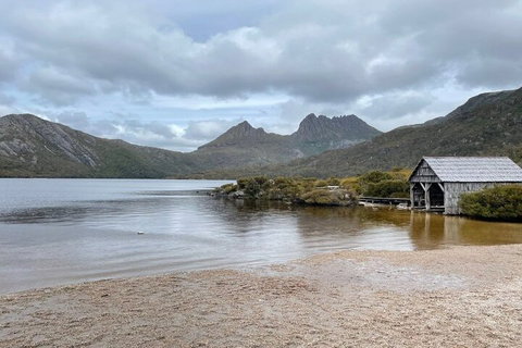 Cradle Mountain National Park Day Tour From Launceston - Holiday Jervis Bay 4