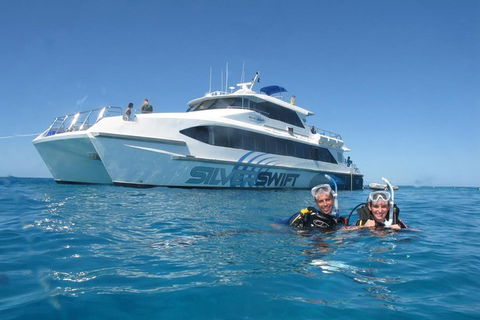 Silverswift Outer Great Barrier Reef Dive And Snorkel Cruise From Cairns - Holiday Jervis Bay 4