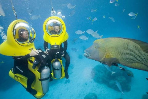 Great Barrier Reef Adventure From Cairns - Holiday Jervis Bay 2