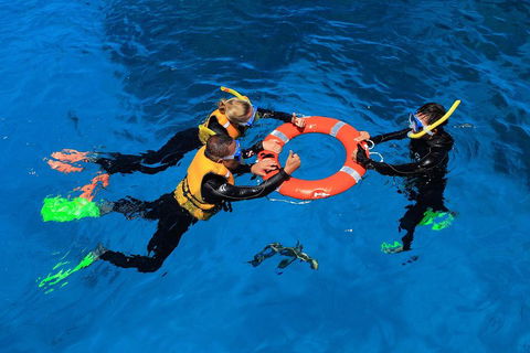 Great Barrier Reef Adventure From Cairns - Holiday Jervis Bay 3