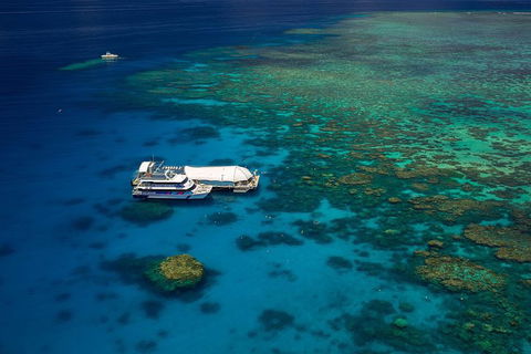 Great Barrier Reef Adventure From Cairns - Holiday Jervis Bay 4