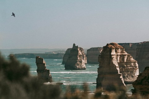 Half-Day Or Full-Day Tour With Private Guide From Melbourne - Holiday Jervis Bay 0