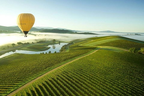 Half-Day Or Full-Day Tour With Private Guide From Melbourne - Holiday Jervis Bay 4