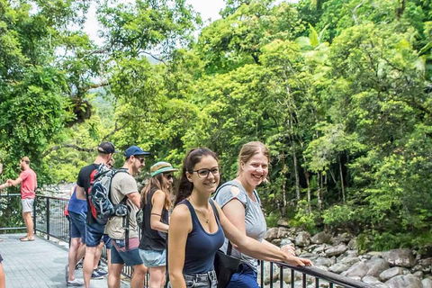 Cape Tribulation, Mossman Gorge, And Daintree Rainforest Day Trip From Cairns Or Port Douglas - Holiday Jervis Bay 0