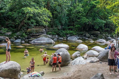 Cape Tribulation, Mossman Gorge, And Daintree Rainforest Day Trip From Cairns Or Port Douglas - Holiday Jervis Bay 1