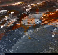 One Day Litchfield Park Adventures - Holiday Jervis Bay