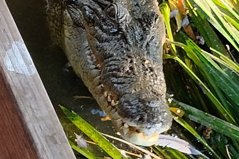 Litchfield Park Adventures And Jumping Crocodile Cruise + Butterfly Farm - Holiday Jervis Bay 1