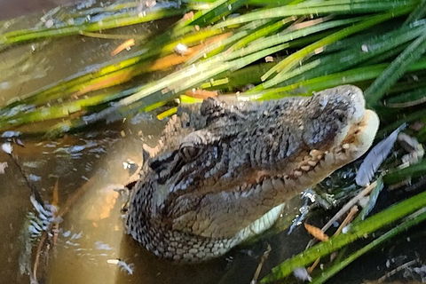 Litchfield Park Adventures And Jumping Crocodile Cruise + Butterfly Farm - Holiday Jervis Bay 4