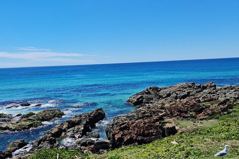 Private Custom Byron Bay Day Out - Holiday Jervis Bay 4