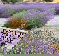 Kangaroo Island Food and Wine Trail Tour - Holiday Jervis Bay