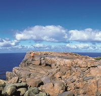 4 Day Tour Albany Margaret River Valley of the Giants TreeTop Walk from Perth - Holiday Jervis Bay