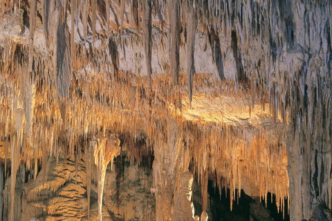 Margaret River, Caves, Wine And Cape Leeuwin Lighthouse Tour From Perth - Holiday Jervis Bay 3