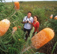 Best of Perth Wildflower Season Day Trip - Holiday Jervis Bay