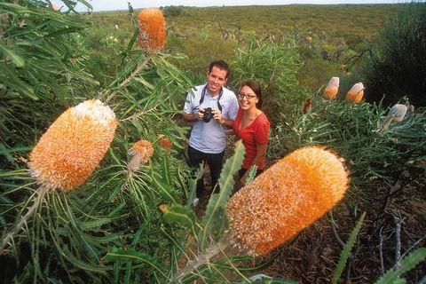 Best Of Perth Wildflower Season Day Trip - Holiday Jervis Bay 0