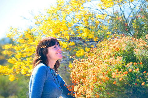 Best Of Perth Wildflower Season Day Trip - Holiday Jervis Bay 2