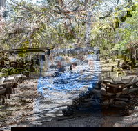Small-Group Buggy Tour at Little Sahara with Guide - Holiday Jervis Bay