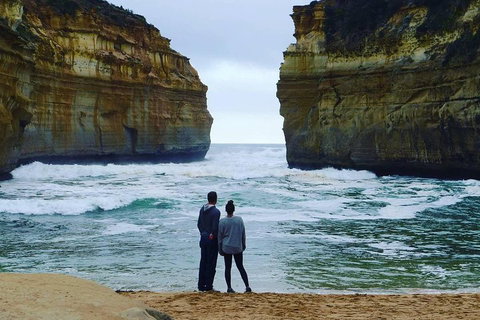 Great Ocean Road Small-Group Ecotour From Melbourne - Holiday Jervis Bay 1