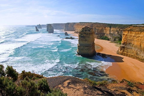 Great Ocean Road Small-Group Ecotour From Melbourne - Holiday Jervis Bay 2