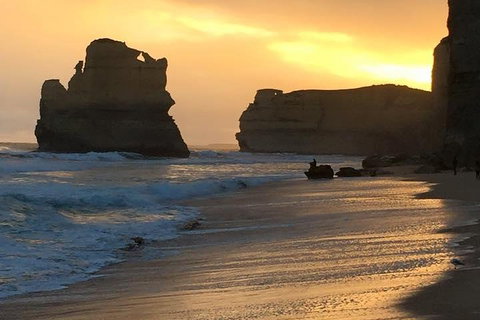 Great Ocean Road Small-Group Ecotour From Melbourne - Holiday Jervis Bay 5