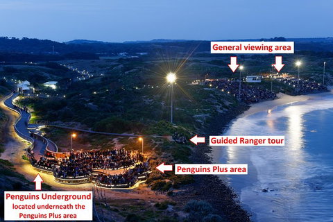 Phillip Island Penguin, Brighton Beach, Moonlit Sanctuary From Melbourne - Holiday Jervis Bay 4