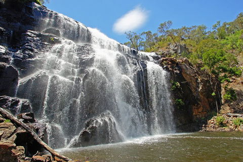 Grampians National Park Small-Group Eco Tour From Melbourne - Holiday Jervis Bay 0