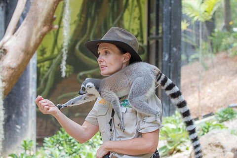 Currumbin Wildlife Sanctuary General Entry Ticket - Holiday Jervis Bay 1