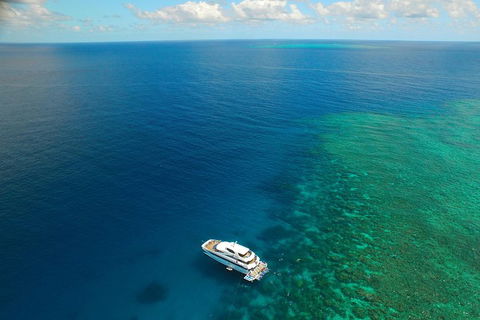 Great Barrier Reef Snorkeling And Diving Cruise From Cairns - Holiday Jervis Bay 4