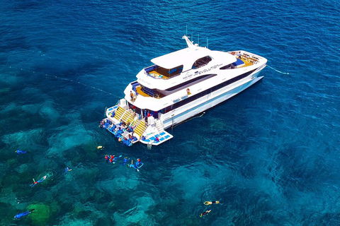 Great Barrier Reef Snorkeling And Diving Cruise From Cairns - Holiday Jervis Bay 5