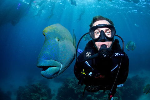 Full Day Reef Cruise Including 10 Minute Heli Scenic Flight: Get High Package - Holiday Jervis Bay 1