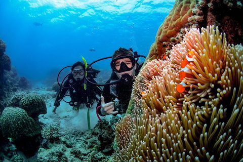 Full Day Reef Cruise Including 10 Minute Heli Scenic Flight: Get High Package - Holiday Jervis Bay 5