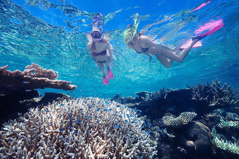 Great Barrier Reef Scenic Helicopter Tour And Cruise From Cairns - Holiday Jervis Bay 3