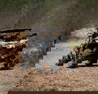 Octopussy 1.5 hour off-road tour in Darwin 1 person in 2 seater - Holiday Jervis Bay