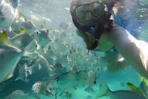 2-Day Moreton Island 4WD Camping Tour From Brisbane - Holiday Jervis Bay 0