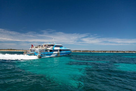 Rottnest Island All-Inclusive Grand Island Tour From Fremantle - Holiday Jervis Bay 3