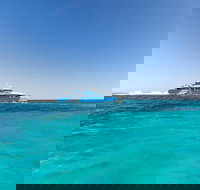 Rottnest Island Fortress Adventure Segway Package from Fremantle - Holiday Jervis Bay